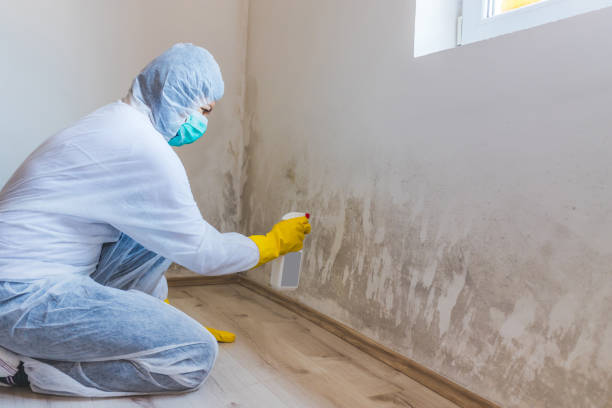 Mold Remediation specialist working in Reading